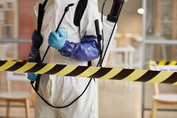 Professional Sewage Cleanup technician working in Roseville, CA